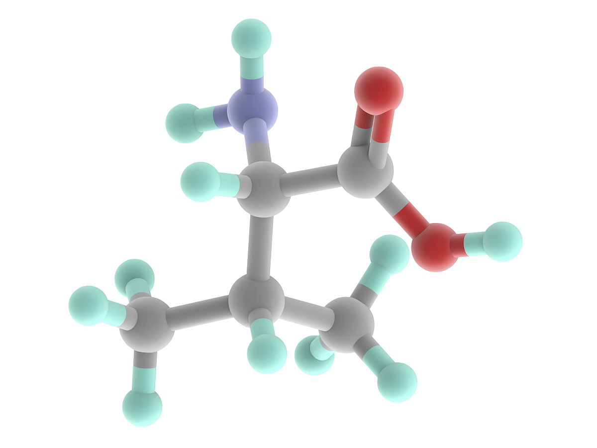 l valine powder